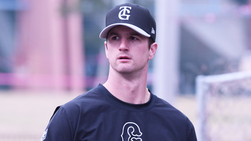 巨人・グリフィン,ⒸSPAIA