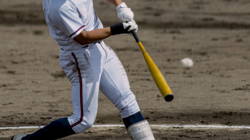 イメージ画像阪神甲子園球場,ⒸmTaira/Shutterstock.com