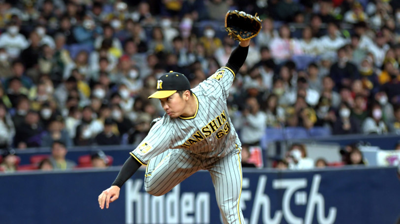 限定版 ヤクルトスワローズ マジェスティック プロコレテック