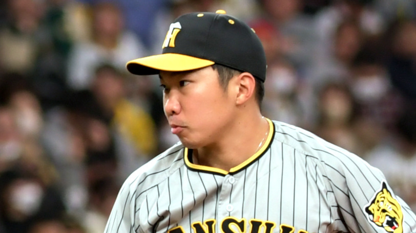 阪神タイガース 田中秀太選手 プロ支給品 バット SSK 阪神タイガース 田中秀太選手 プロ支給品 バット SSK