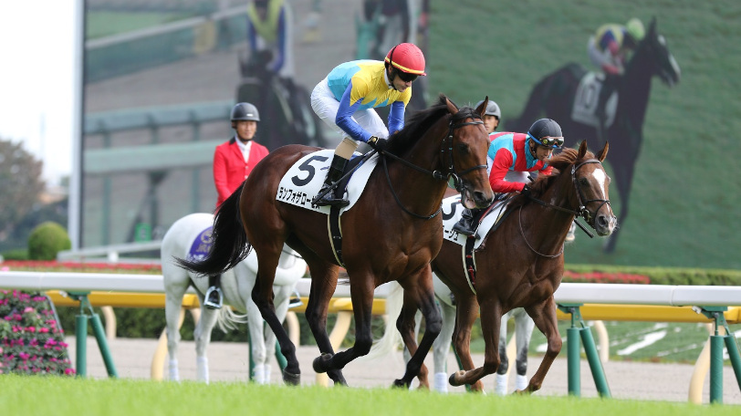 ランフォザローゼス,Ⓒ明石智子