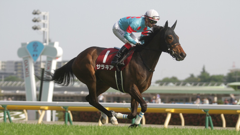 【エプソムC】過去10年で1、2番人気が8勝　穴は前走重賞で大敗した馬