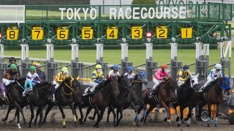 イメージ画像ⒸSPAIA（撮影：三木俊幸）