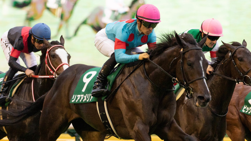 2019年阪神JFで人気が予想されるリアアメリアⒸSPAIA(撮影:三木俊幸)