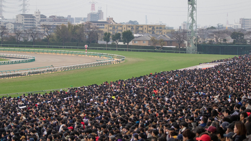 【東海S】AIはなぜインティよりスマハマを本命にしたのか？