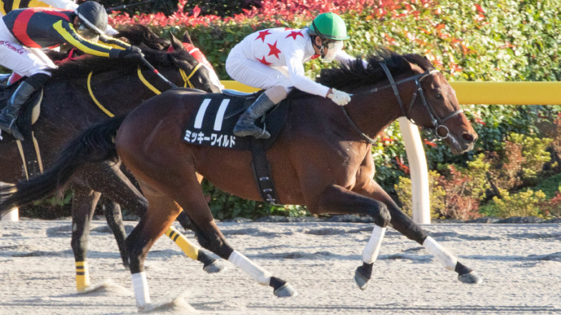 【根岸S】AIの本命はミッキーワイルド　安田記念勝ちのモズアスコットの評価は？