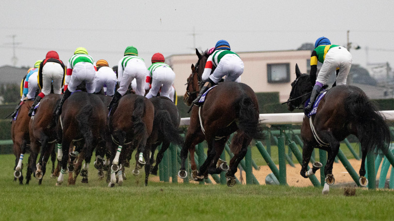 【シルクロードS】AIは4歳牝馬を評価　今年も荒れるのか？