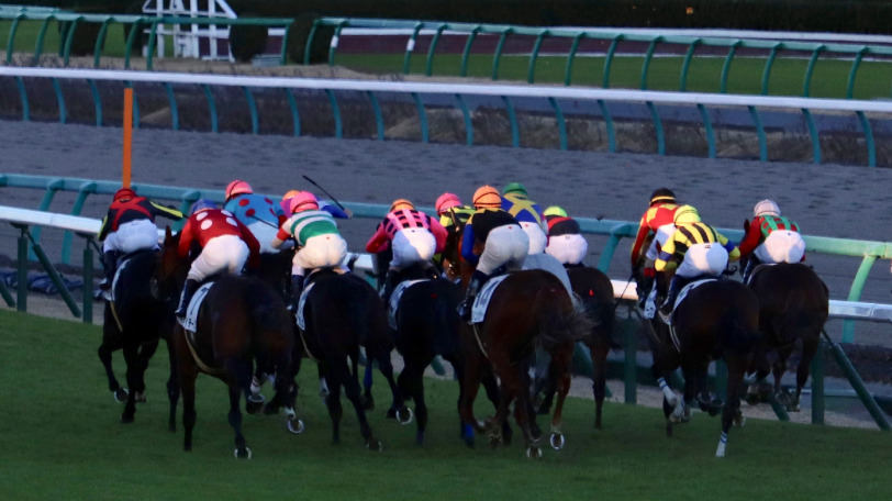 【東京新聞杯】AIの本命は12戦中11回が馬券圏内のレッドヴェイロン