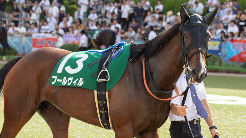2020年京都牝馬ステークスで本命に推されたプールヴィル