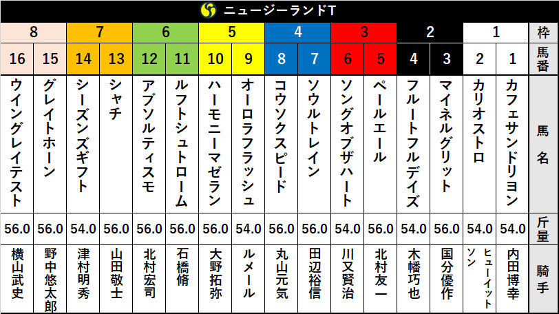 【ニュージーランドＴ】枠順確定　6枠11番ルフトシュトロームにとって不利なデータとは？