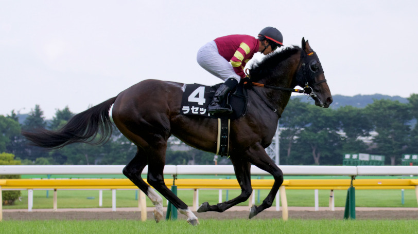 【中京記念】ギルデッドミラーの評価は？狙うべき大穴馬3頭とは？【動画あり】