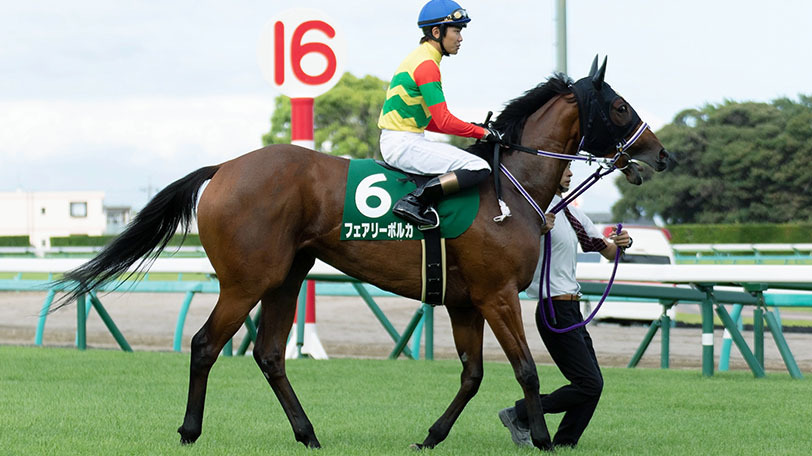 【クイーンS】減点材料少ないフェアリーポルカ本命　東大ホースメンクラブの予想は？【動画あり】
