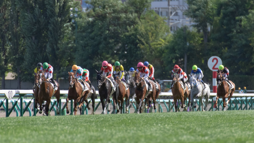 【小倉記念】菊花賞2着馬サトノルークスの評価は　京大競馬研究会の本命は？【動画あり】