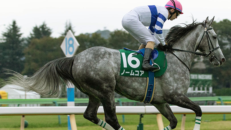 【札幌記念】前走GⅠ組は複勝率41.0%など　データ的にラッキーライラックに死角はないのか？【動画あり】