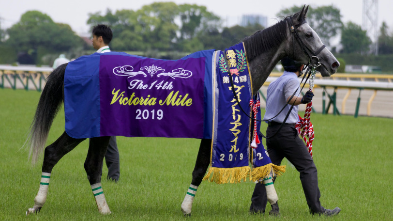 札幌記念 ラッキーライラックに死角なし 今年はガチガチ決着必至 動画あり 年8月22日 Biglobeニュース