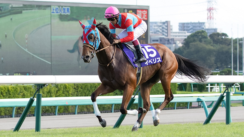 【キーンランドC】3週連続予想的中なるか　狙ってみたい2頭とは？【動画あり】