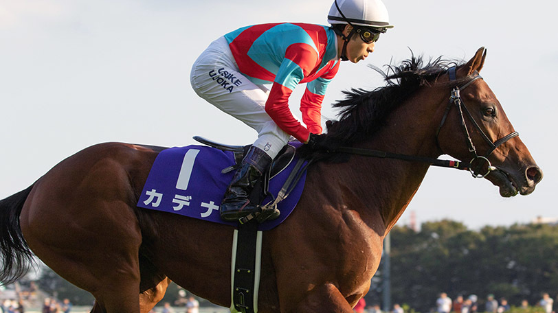 【新潟記念】ワーケア相手でも勝てる豪脚の持ち主とは？【動画あり】