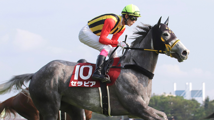 【日曜特別レース予想】GⅠを外しても安心？　日曜には鉄板級の2頭がスタンバイ【動画あり】