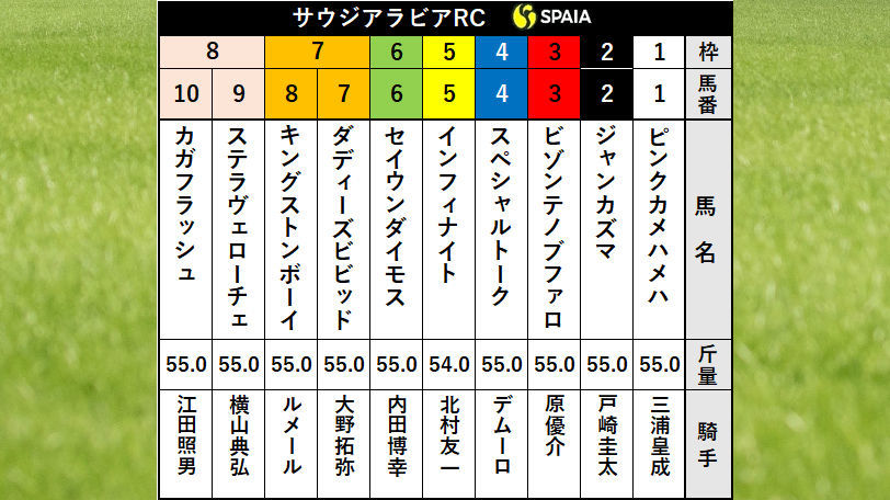 【サウジアラビアRC枠順】ルメール騎乗のキングストンボーイは7枠8番、インフィナイトは5枠5番