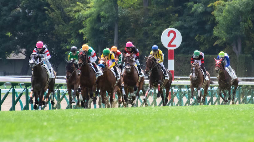【京都大賞典】2走前の勝ち方に注目　京大RCは充実一途の4歳馬を本命視【動画あり】