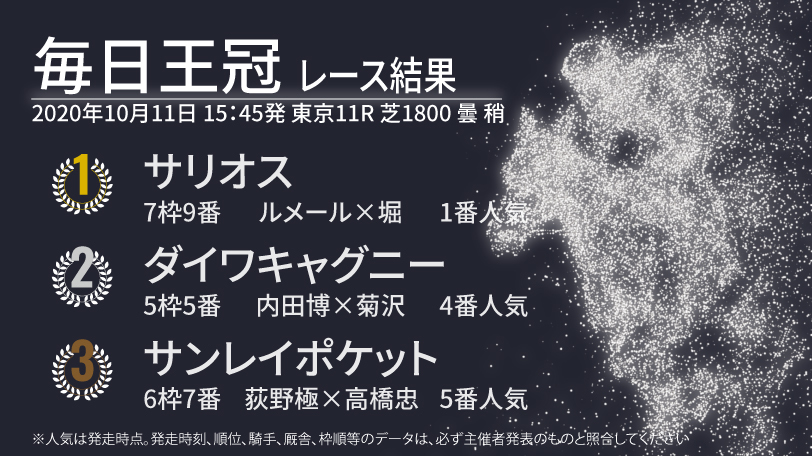 【毎日王冠結果速報】ルメール騎手騎乗のサリオスが勝利　古馬を悠々と撃破