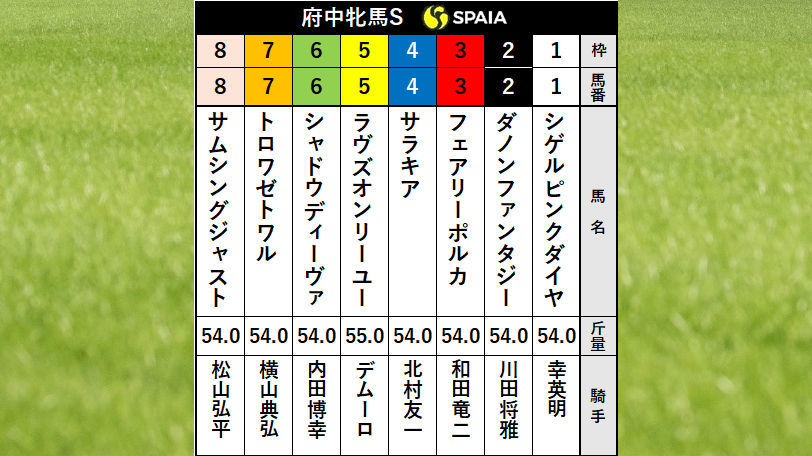 2020年府中牝馬S枠順ⒸSPAIA