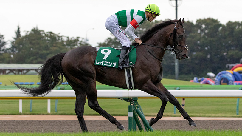 【土曜3分レース予想】先週はシャドウディーヴァが6番人気2着　オススメの馬4頭をご紹介【動画あり】