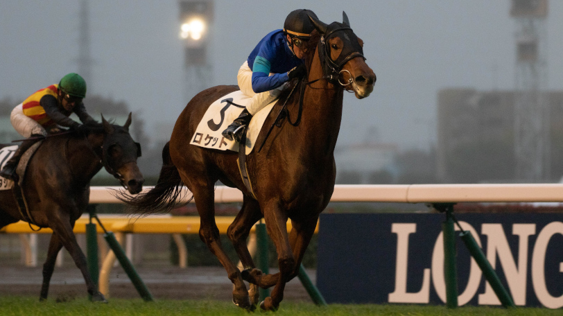 【スワンS】4歳牡馬の複勝率41％　アドマイヤマーズで堅いのか？【動画あり】