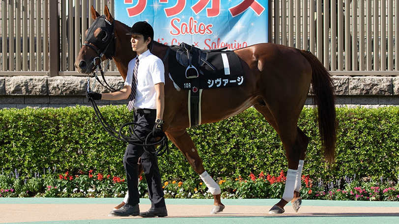 【土曜3分レース予想】アルテミスSに大物感漂う1頭　土曜からオススメの馬は？【動画あり】