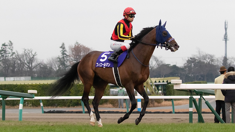 【日曜特別レース予想】天皇賞（秋）本命馬は？京都芝1800ｍはディープ牝馬にお任せ　おすすめの4頭【動画あり】