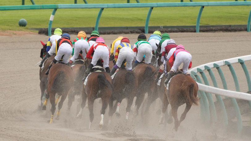 【みやこS】阪神開催の今年使えるデータは？　軽視したい1頭も紹介【動画あり】