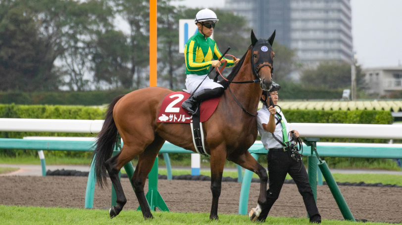 【日曜3分レース予想】実績馬が大敗から反撃　日曜の推奨馬3頭は？【動画あり】