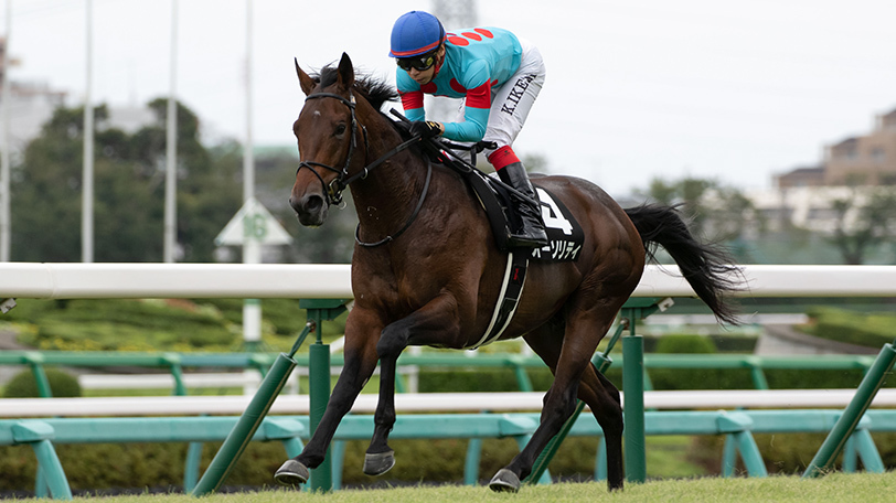 アルゼンチン共和国杯 3歳の複勝率100 でもオーソリティは買えない 東大hcの本命馬は 動画あり Spaia スパイア アルゼンチン共和国杯 3歳の複勝率100 でもオーソリティは買えない 東大hcの本命馬は 動画あり Spaia スパイア