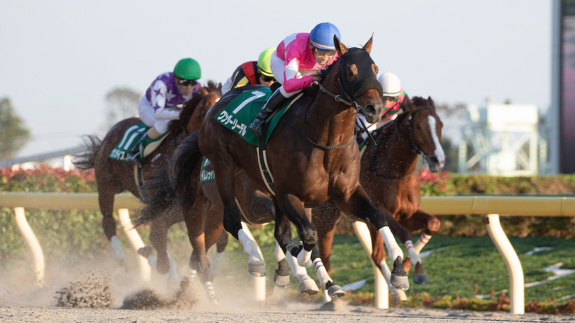 【土曜3分レース予想】先週は推奨馬の複勝率85.7％　土曜からオススメの馬は？【動画あり】