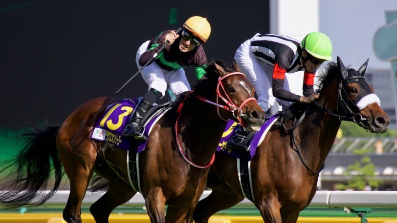 【日曜3分レース予想】エリザベス女王杯や福島記念など　日曜の推奨馬は？【動画あり】