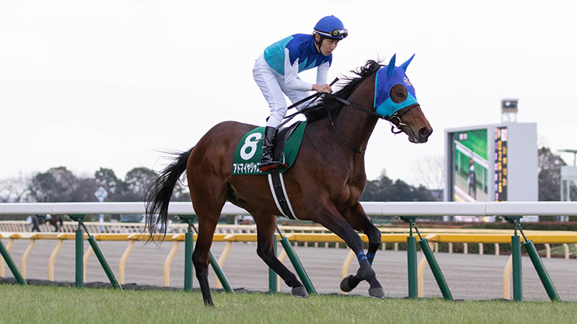 【福島記念】26頭登録で超難解な一戦　カギを握るデータとは？【動画あり】