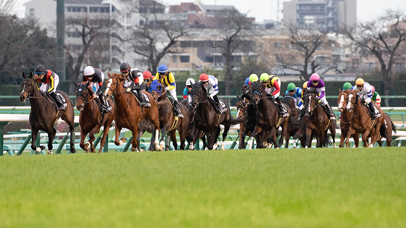【武蔵野S・デイリー杯2歳S】土曜の2重賞で使える強力データ　1着候補は2頭に絞られる【動画あり】