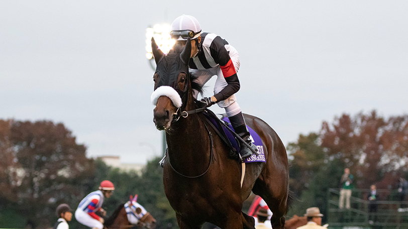 【日曜3分レース予想】三冠馬相手だからこそ買いたい！　SPAIA編集部日曜の推奨馬は？【動画あり】