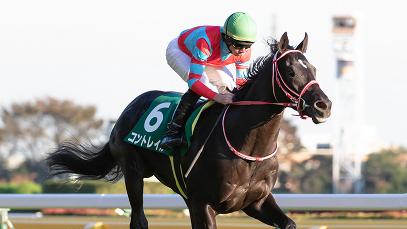 2020年ジャパンカップに出走するコントレイルⒸSPAIA