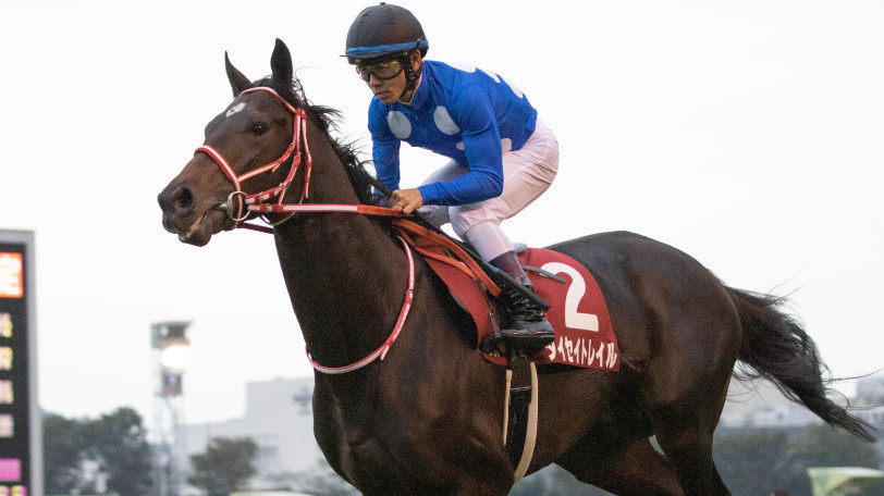 【ステイヤーズS・チャレンジC】土曜重賞予想！どちらも荒れそうな予感あり【動画あり】