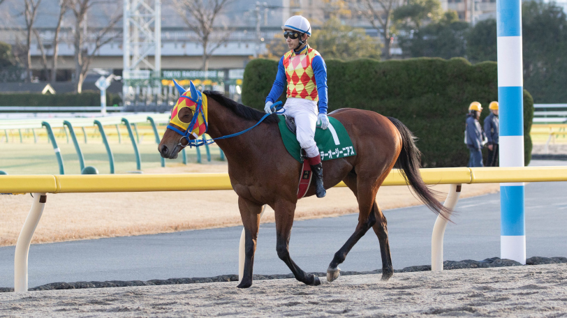 【カペラS・中日新聞杯】カペラSはハイペース必至　SPAIA編集部が狙うリピーターの差し馬は？【動画あり】