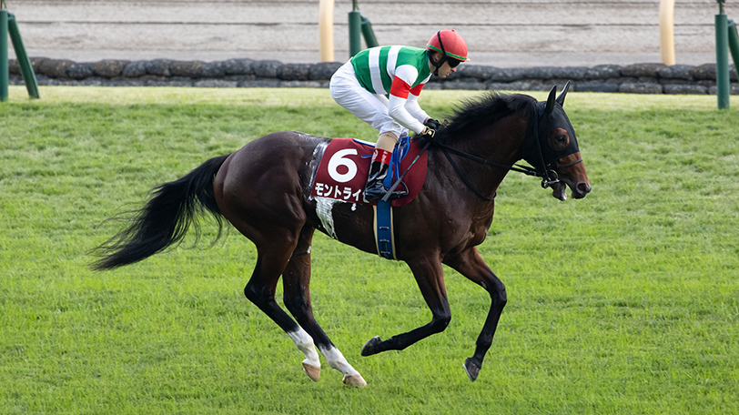 【日曜3分レース予想】初のマイルでも心配無用　SPAIA編集部の日曜推奨馬は【動画あり】