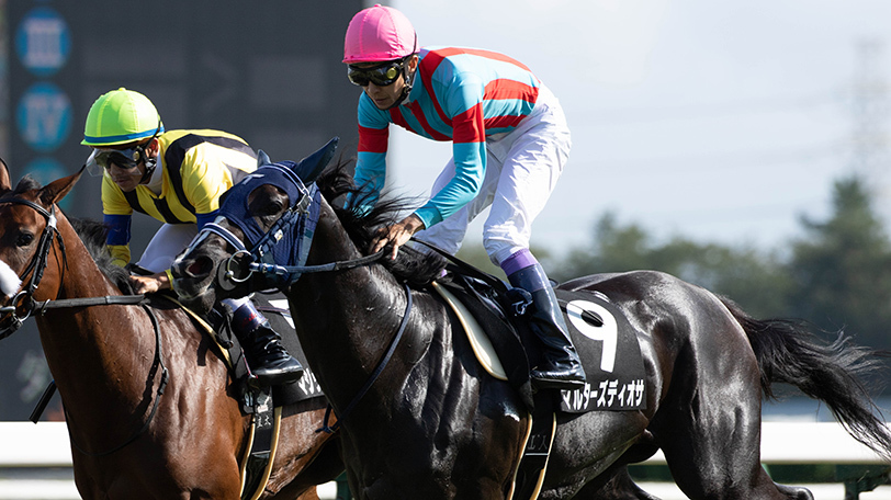 【土曜3分レース予想】中山で単回収率247％の厩舎に注目　土曜のSPAIA編集部オススメは？【動画あり】