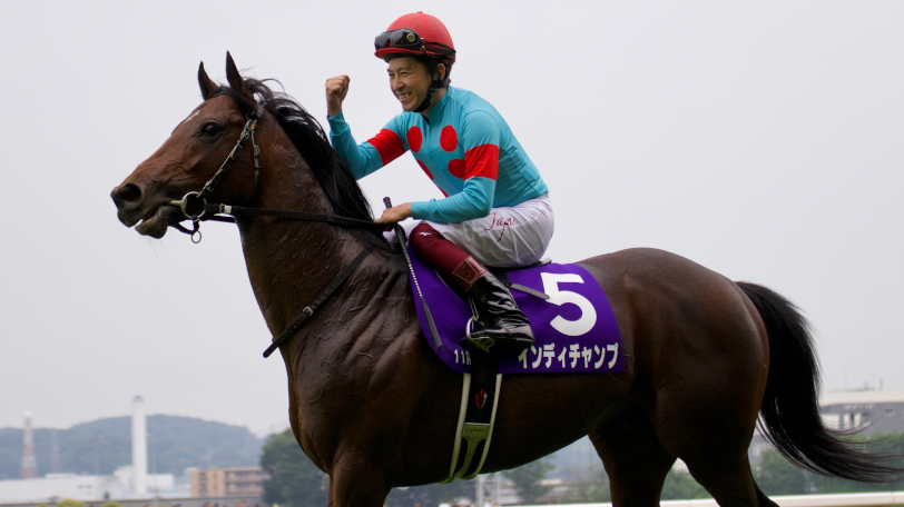 【阪神C・中山大障害】1番人気の連対率わずか10%　インディチャンプに勝てる馬は？【動画あり】