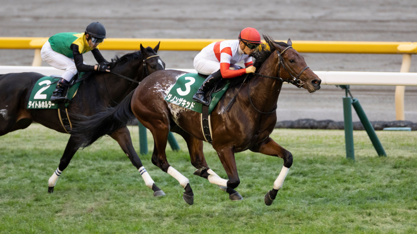 【ホープフルS】“次世代のコントレイル”誕生？　SPAIA編集部が本命に推すのは【動画あり】