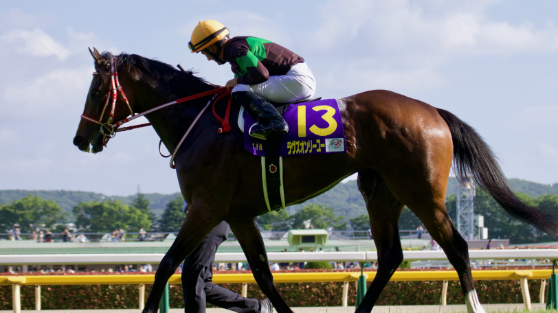 2020年有馬記念に出走するラヴズオンリーユーⒸSPAIA