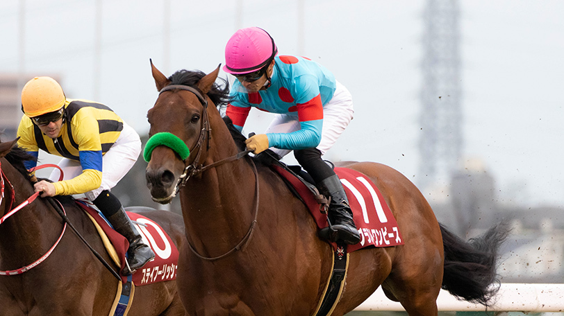 【有馬記念】東大は内枠ゲットの大穴に本命　京大は牝馬の有終Vに期待【動画あり】
