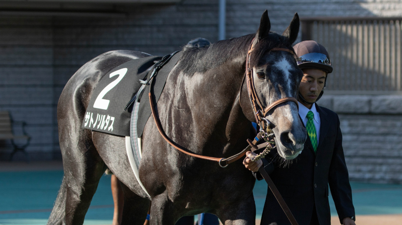日経新春杯に出走するサトノソルタスⒸSPAIA