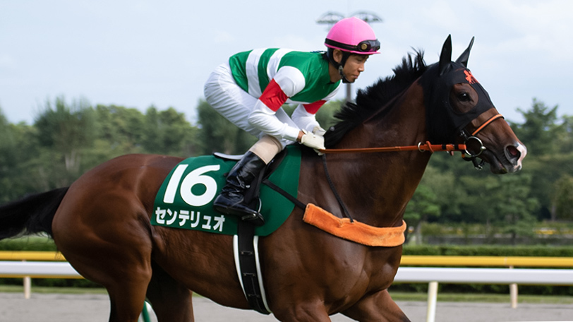 【愛知杯】今年も波乱の決着になるのか　ルメール騎乗センテリュオは56キロでも来る？【動画あり】
