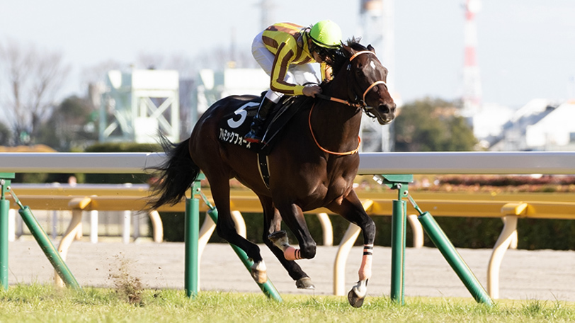 【土曜3分レース予想】開幕週の馬場傾向にヒントあり　土曜のSPAIA編集部オススメは？【動画あり】